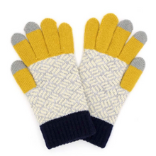 Load image into Gallery viewer, Multi-Colored Fashion Gloves